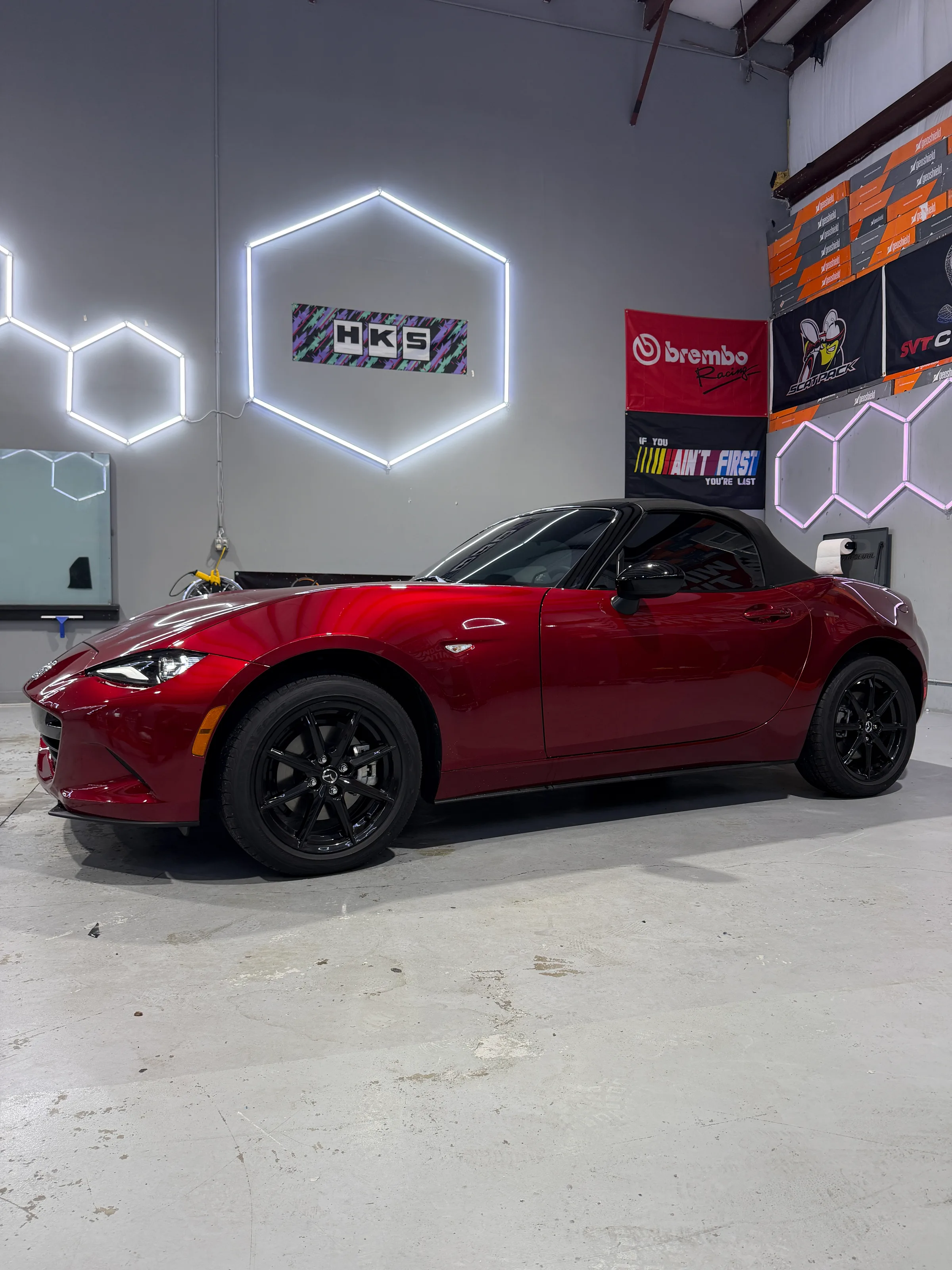 Automotive Window Tint