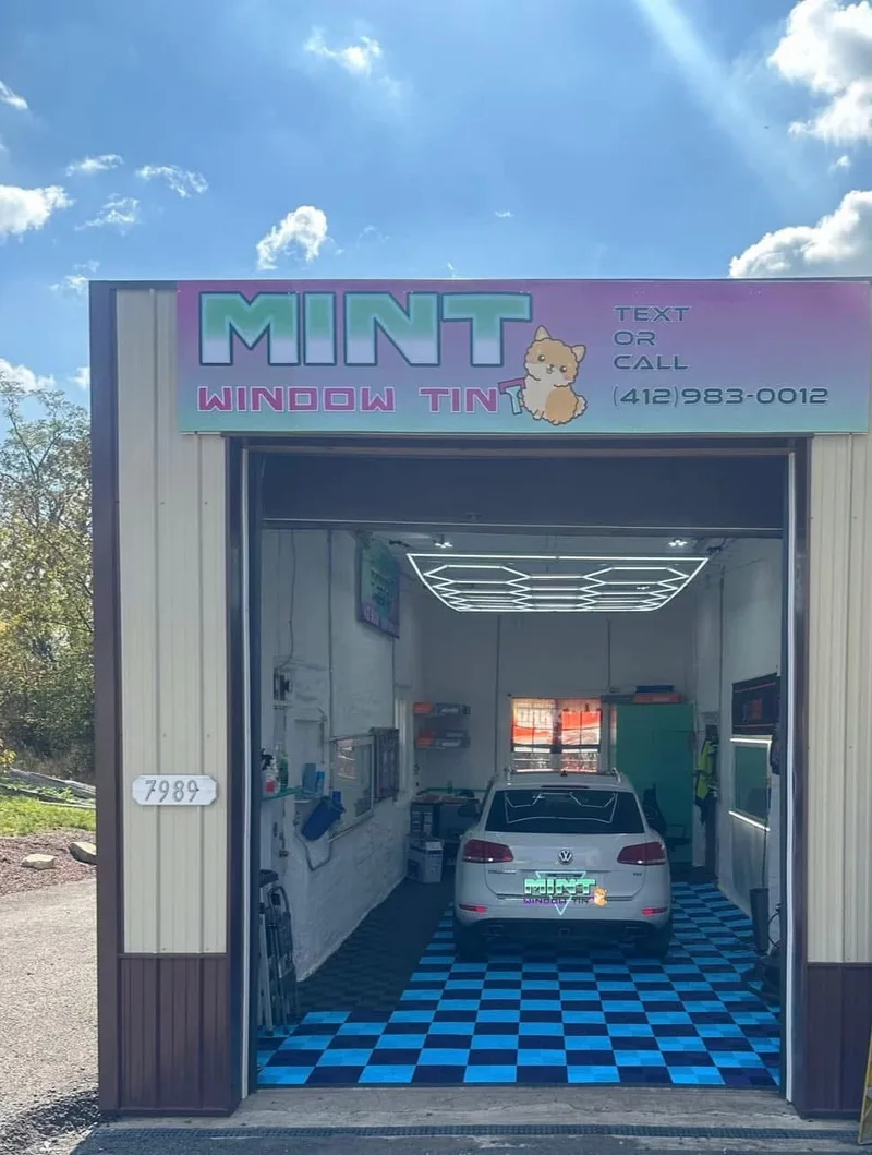 MINT Window Tint opened it's doors in a single bay garage.
