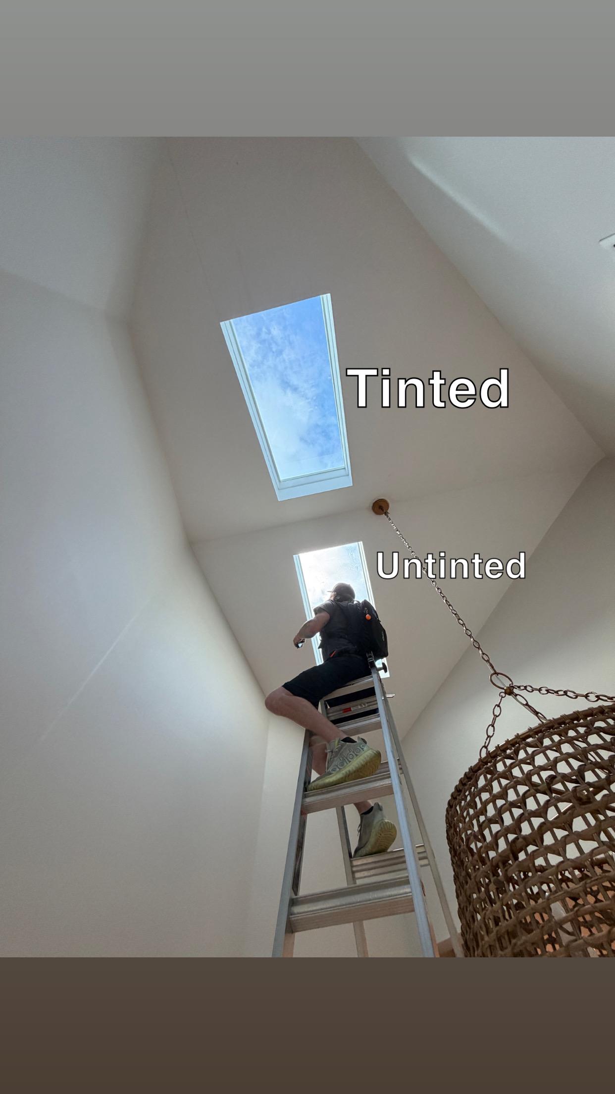 Recent work by Top Tint
